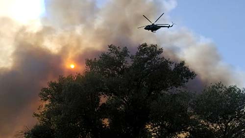 ���� �� ������� ��������� ������� ����������� � ���������� ������� Kerastase ������� ������������